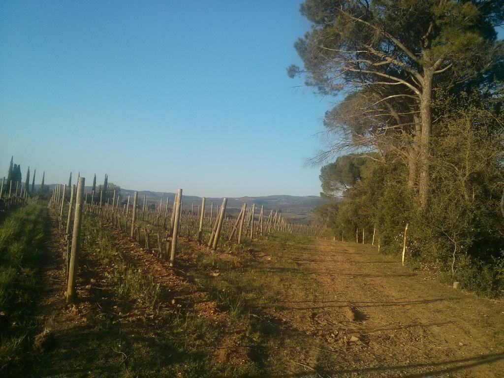 Argiano Dimore Wine Relais Eksteriør bilde