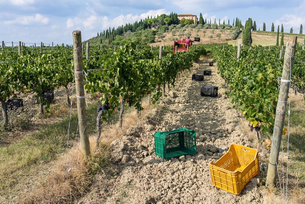 Argiano Dimore Wine Relais Eksteriør bilde