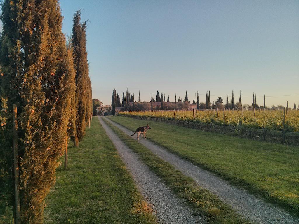 Argiano Dimore Wine Relais Eksteriør bilde